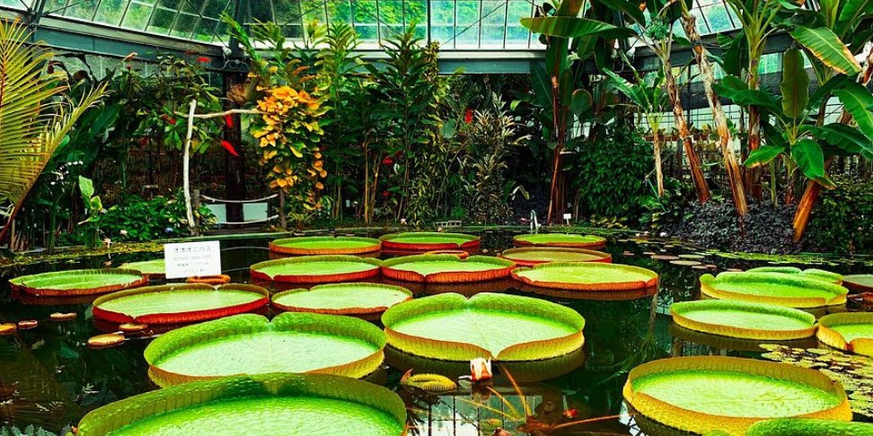 Atagawa Tropical & Alligator Garden (Banana-Wani-En), Japan
